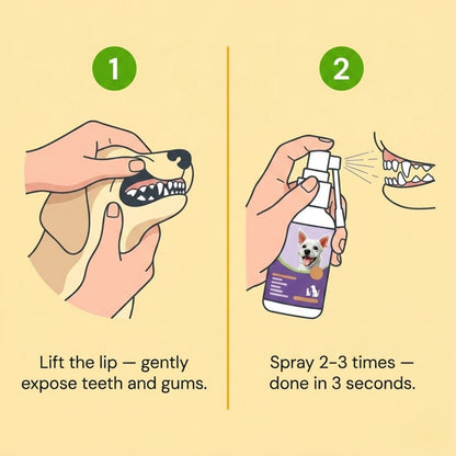 How to use dog dental spray — 2 steps, 3 seconds, no brushing