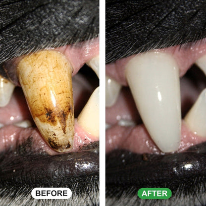 Dog Dental Spray - VONISK