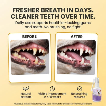 Dog dental spray before and after — visible plaque reduction